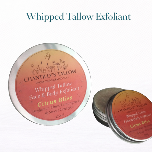Whipped Tallow Exfoliant