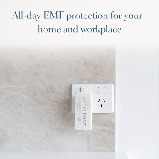 HOME PROTECTION – Geoclense